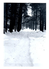 1950s winter trail for sale  Cypress