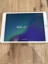 Apple ipad 8.ª usato  Villanova Marchesana