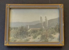 Cacti yucca early for sale  Montgomery