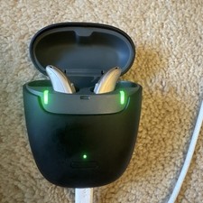 Rexton hearing aids for sale  Dalton
