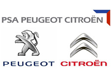Peugeot citroen side for sale  UK