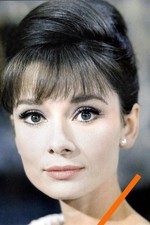 Photo 15cm 4x6 d'occasion  Salon-la-Tour