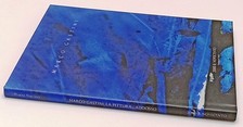 Marco gastini pittura usato  Parma