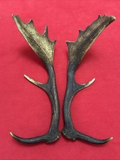 Beautiful pair fallow for sale  DUNDEE