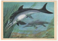 1983 ichthyosaur reptiles for sale  Concord