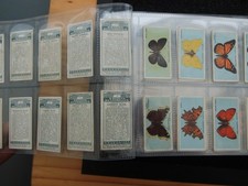 british butterflies cigarette cards for sale british butterflies cigarette cards for sale MELTON MOWBRAY