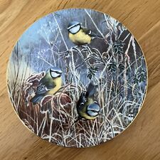 Winter bluetit coalport for sale  SWANLEY