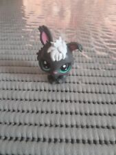 Littlest petshop pet d'occasion  Tarascon-sur-Ariège