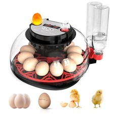 Couveuse oeuf automatique d'occasion  Rouen-