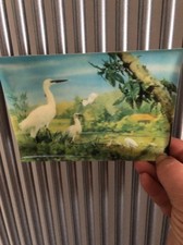 Cartolina tridimensionale anni usato  Bologna