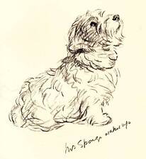 Lovely vintage dog for sale  MOLD