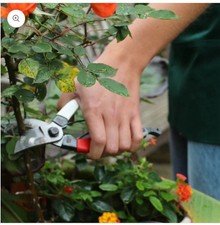 Okatsune bypass secateurs for sale  GLASGOW
