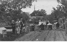 Vienna dange beekeeping d'occasion  Expédié en Belgium