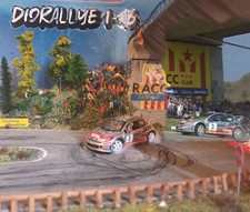 Diorama 206 wrc d'occasion  Comps-sur-Artuby