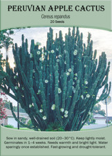Peruvian apple cactus for sale  PAIGNTON