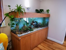 Aquarium fish tank for sale  STOKE-ON-TRENT