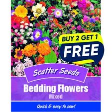 Flower seeds bedding for sale  MANSFIELD