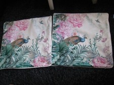 Two pretty peacock for sale  INVERNESS
