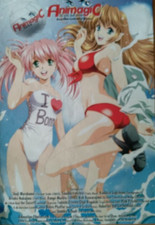 Anime manga poster gebraucht kaufen  Cremlingen