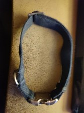Hundehalsband 45cm umfang gebraucht kaufen  Rees