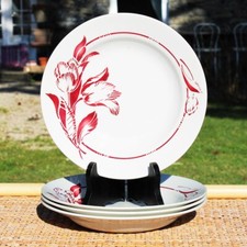 Set assiettes creuses d'occasion  Cerisy-la-Salle