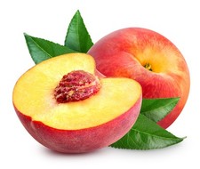 Peach trees pergerine for sale  BANBURY