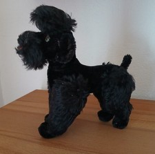 Steiff hund pudel gebraucht kaufen  Aalen