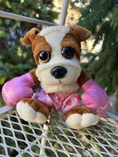English bulldog punchy for sale  Oregon