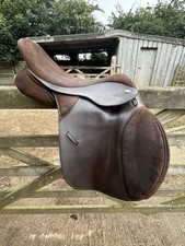 Thorowgood cob 17.5 for sale  TRURO