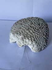 Large vintage natural for sale  SLOUGH