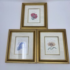 Vintage 1995 framed for sale  Rougemont