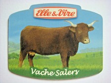 Magnet vire vache d'occasion  Saint-Pierre-d'Oléron