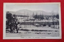 Cartolina fonni paesaggio usato  Cagliari
