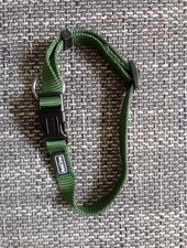 Hundehalsband grün verstellba gebraucht kaufen  Schwerin