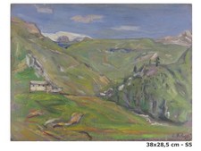Eso peluzzi 1894 usato  Torino