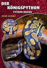 Königspython python regius gebraucht kaufen  Berlin