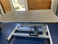 Hydraulic dog grooming for sale  BEAUMARIS