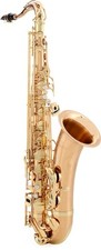 Yanagisawa two2 professional for sale  Fort Wayne