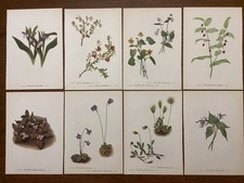 flower art beautiful for sale  Camden Wyoming