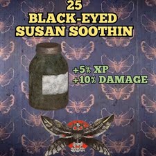 Fallout susan soothin usato  Prato Sesia