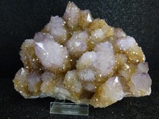 Kaktus amethystquartz südafri gebraucht kaufen  Weiden