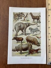 Animals mammals insects for sale  Lewisburg