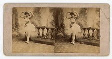 Victorian stereoview 1800s usato  Spedire a Italy
