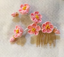 Chinese plum flower for sale  Carbondale