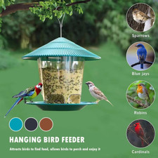 Hanging wild bird for sale  BOLTON