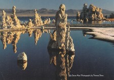 Tufa stone man for sale  ROCHESTER