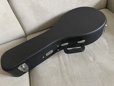 Riginaler eastman mandolinen gebraucht kaufen  Freising