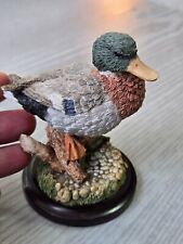 Country artists duck for sale  PRESCOT