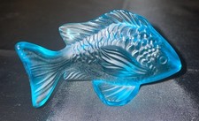 Pesce damigella blu usato  Spedire a Italy
