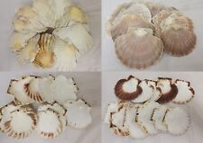 Large clean cornish for sale  HELSTON